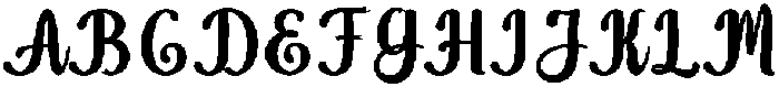 Wonder Bold 10 Regular otf (700) Font