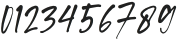 WordSignature otf (400) Font OTHER CHARS