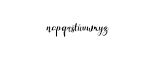 Wonderfebia Script Wedding Font Font LOWERCASE