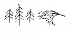 Woodland Doodles Font LOWERCASE
