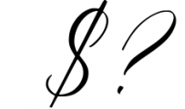 Wonderful Calligraphy Font OTHER CHARS