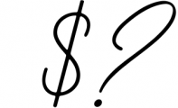 Wonderful Font Bundle Vol. 4// Handwritten & Signature Font 1 Font OTHER CHARS