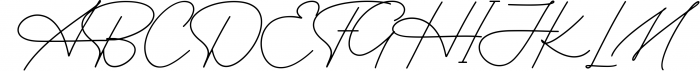 Wonderful Font Bundle Vol. 4// Handwritten & Signature Font 12 Font UPPERCASE