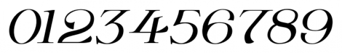 Wolverton No2  Oblique Font OTHER CHARS