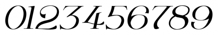 Wolverton No3  Oblique Font OTHER CHARS