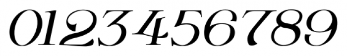 Wolverton Text No1 Oblique Font OTHER CHARS