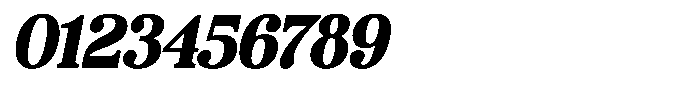 Wolfgar Bold Italic Font OTHER CHARS