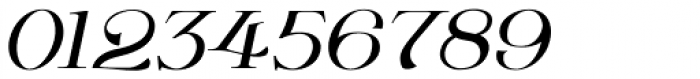 Wolverton No.1 Oblique Font OTHER CHARS