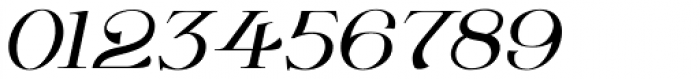 Wolverton No.2 Oblique Font OTHER CHARS