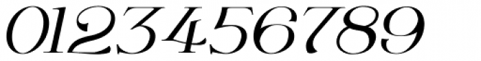Wolverton No.3 Oblique Font OTHER CHARS