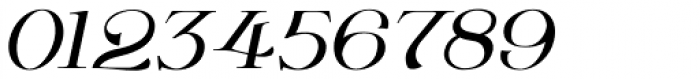Wolverton Text No.2 Oblique Font OTHER CHARS