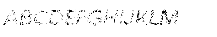 Workprint Italic Scribble Font UPPERCASE