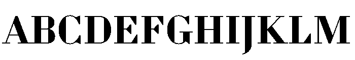 WorkhorseDidot Bold16 Instance Font UPPERCASE
