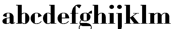 WorkhorseDidot Bold16 Instance FONT