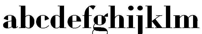 WorkhorseDidot Bold26 Instance FONT