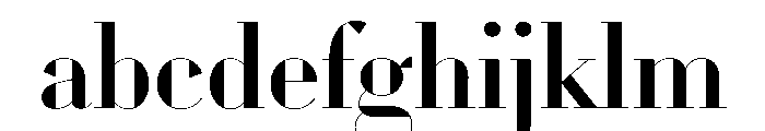 WorkhorseDidot Medium110 Instance FONT