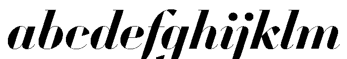 WorkhorseDidotItalic BoldItalic110 Instance FONT