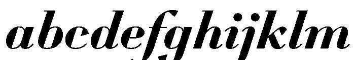 WorkhorseDidotItalic BoldItalic16 Instance FONT