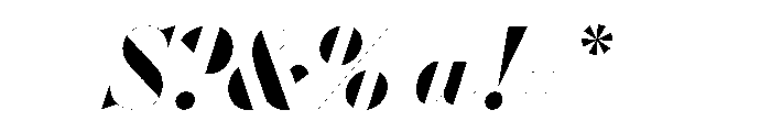 WorkhorseDidotItalic BoldItalic288 Instance Font OTHER CHARS