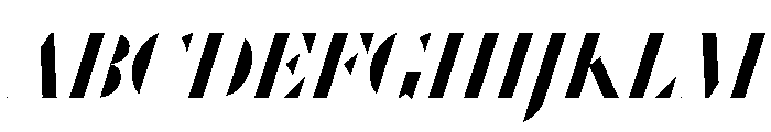 WorkhorseDidotItalic BoldItalic288 Instance Font UPPERCASE