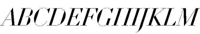 WorkhorseDidotItalic BookItalic110 Instance Font UPPERCASE