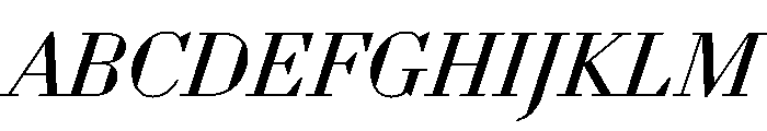 WorkhorseDidotItalic BookItalic16 Instance Font UPPERCASE