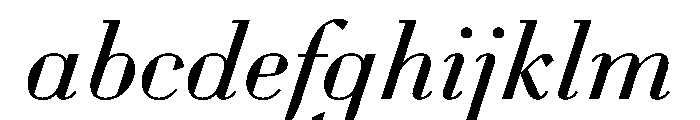WorkhorseDidotItalic BookItalic16 Instance FONT