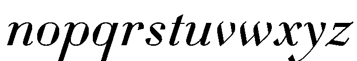WorkhorseDidotItalic BookItalic16 Instance Font LOWERCASE