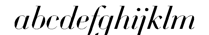WorkhorseDidotItalic BookItalic68 Instance FONT