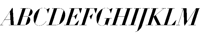 WorkhorseDidotItalic MediumItalic110 Instance Font UPPERCASE