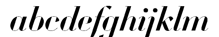WorkhorseDidotItalic MediumItalic110 Instance FONT