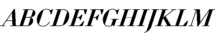 WorkhorseDidotItalic MediumItalic16 Instance Font UPPERCASE