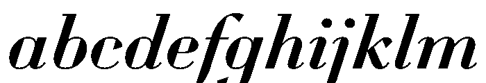 WorkhorseDidotItalic MediumItalic16 Instance FONT