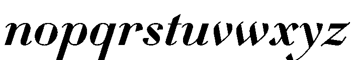 WorkhorseDidotItalic MediumItalic16 Instance Font LOWERCASE