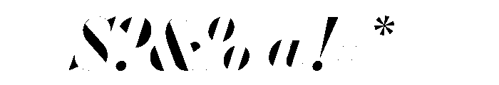 WorkhorseDidotItalic MediumItalic288 Instance Font OTHER CHARS