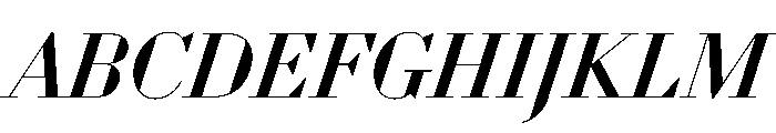 WorkhorseDidotItalic MediumItalic42 Instance Font UPPERCASE