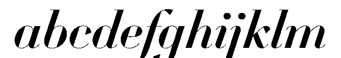 WorkhorseDidotItalic MediumItalic68 Instance FONT