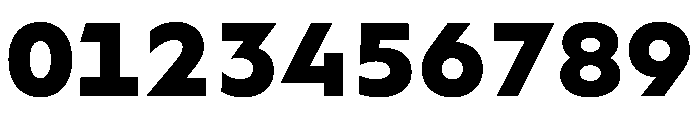 WorkhorseGeoMono Black Instance Font OTHER CHARS