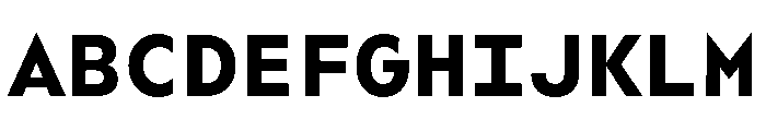 WorkhorseGeoMono Bold Instance Font UPPERCASE