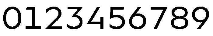 WorkhorseGeoMono Book Instance Font OTHER CHARS