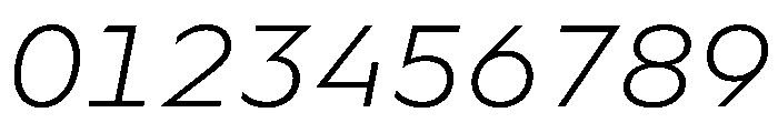 WorkhorseGeoMono LightOblique Instance Font OTHER CHARS