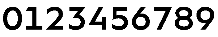 WorkhorseGeoMono Semibold Instance Font OTHER CHARS
