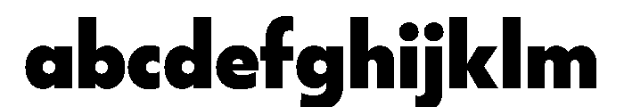 WorkhorseGeometric Black Instance FONT