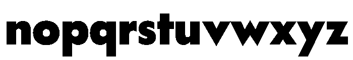 WorkhorseGeometric Black Instance Font LOWERCASE