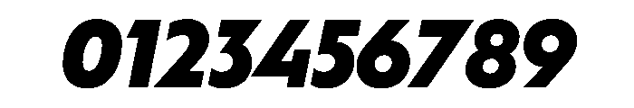 WorkhorseGeometric BlackOblique Instance Font OTHER CHARS