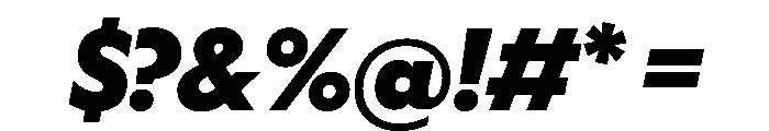 WorkhorseGeometric BlackOblique Instance Font OTHER CHARS