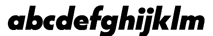 WorkhorseGeometric BlackOblique Instance FONT