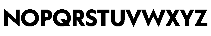 WorkhorseGeometric Bold Instance Font UPPERCASE