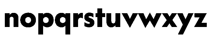 WorkhorseGeometric Bold Instance Font LOWERCASE