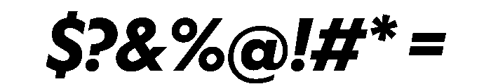 WorkhorseGeometric BoldOblique Instance Font OTHER CHARS